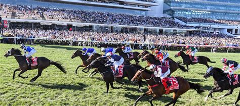 caulfield horse racing today|2024 Melbourne spring carnival: Five horses, trainers .